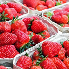 Ціни на полуницю на ринку