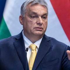 Орбан провалився: антиукраїнські підступи