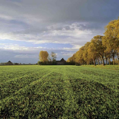 Мінімальний термін договору оренди землі