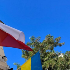 Розповсюдження негативних відгуків про українських біженців