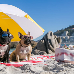 Резкое потепление: синоптик Диденко прогнозирует весеннюю жару