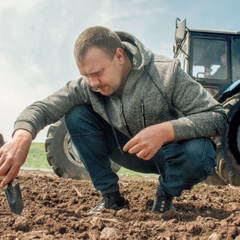 Ціни на землю в українських областях