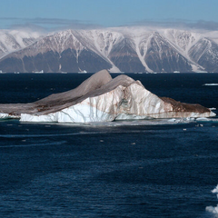 Російський застарілий флот криголамів у Арктиці