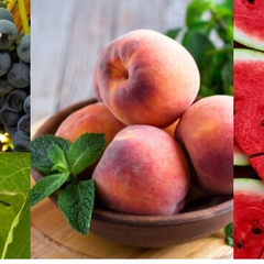 Свіжі кавуни та кукурудза на ринках