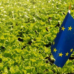 Тарифи на імпорт з України можуть зрости