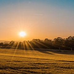 Власність на землю без документів