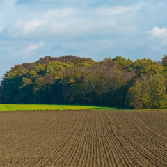 Зруйновані поля внаслідок війни в Україні
