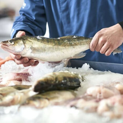 Цінова політика на рибу перед Великоднем