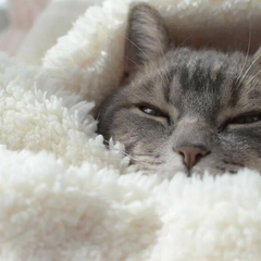 Предупреждение о снеге, дожде и гололеде