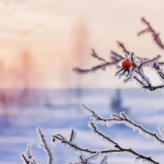 Засніжено місто з весняним настроєм