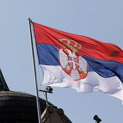 Украинские беженцы в Сербии