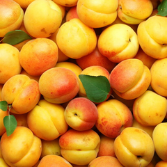 Абрикоси - не дешеві: майбутнє цін