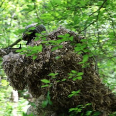 Бої в селах Дніпропетровщини