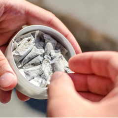 Пауки-підлісники можуть бути заборонені в Україні