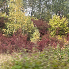 Діденко говорить про падіння температури