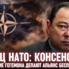Эксперт обсуждает НАТО и гегемона