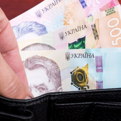 Листопадні листочки в тумані