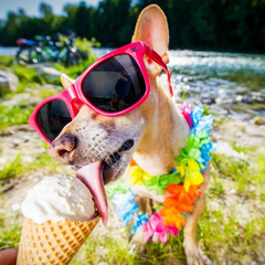 Розслаблятися не варто: літо після аномальної весни