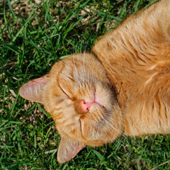 Гроза над містом в Україні