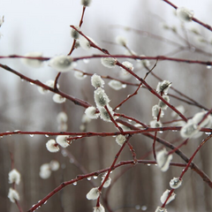 Сонячні промені і термометр