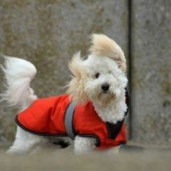 Прогноз погоди в Київській області