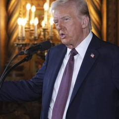 Трамп с Зеленским обсуждают примирение