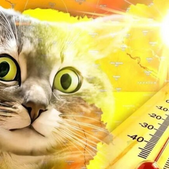 Прогноз погоди на липень в Україні