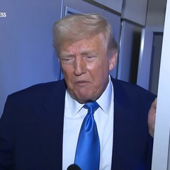 Трамп и Путин в лапах
