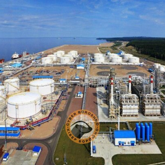 Дрони атакують порт Усть-Луга