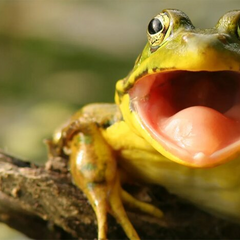 Погода не сприятиме весняного літа