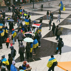 Выплата денег мигрантам в Европе