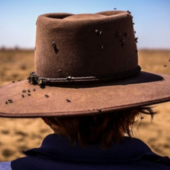 Нові паразити та зміщення сезонів: загроза від потепління в Україні