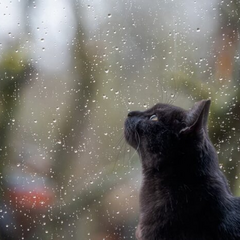 Дорожные условия: опасность на дорогах