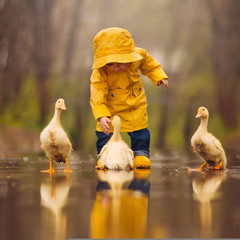 Карта наступу холодів та дощів