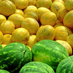 Цены на арбузы и дыни в Украине