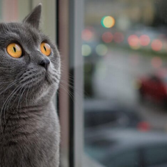 Синоптик Діденко попереджає про різкі зміни погоди