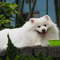 Погіршення погоди: мешканці Київщини під зонтом