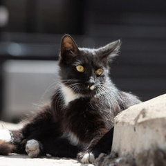 Погода в Україні: похолодання, дощі, вітер