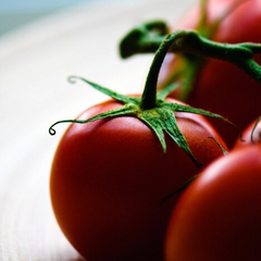 Сравнение цен на помидоры между Мегамаркетом, Новусом, Метро и Ошаном