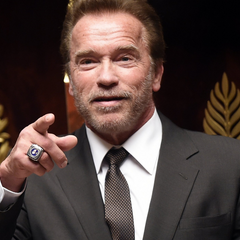 Арнольд Шварценеггер виступає на захист України