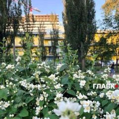 Погодный прогноз для Киева и области
