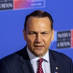 Посол Сікорський виступив проти Росії в ООН