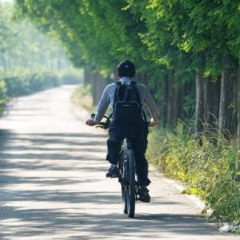 Топ городов для велосипедистов: оценка жителей