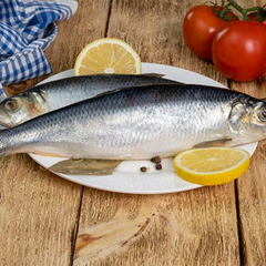 Риба на ринку знову дорожчає в Україні