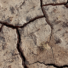 Heat-Related Deaths Reach 710,000 in 2023 as Climate Crisis Declared a Global Health Emergency