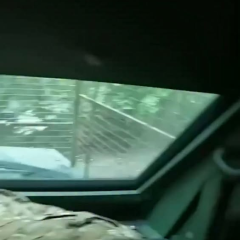 Border guards save a wounded soldier
