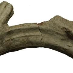 Посудина с двуглавым змеем в Испании