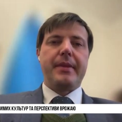 Озимі культури під впливом морозів