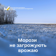 Winter crops sowing in Ukraine