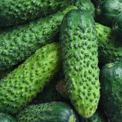 Рибалки на льоду взялися за огірки